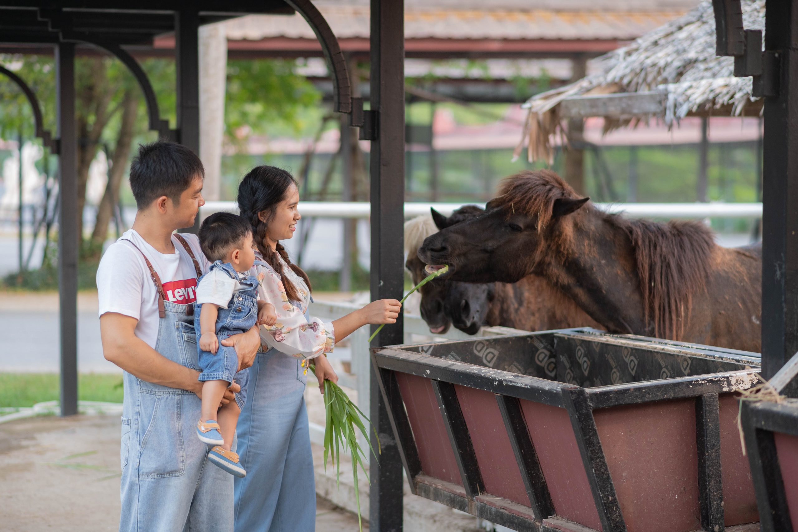 The Verona at Tub Lan - Prachinburi - Thailand