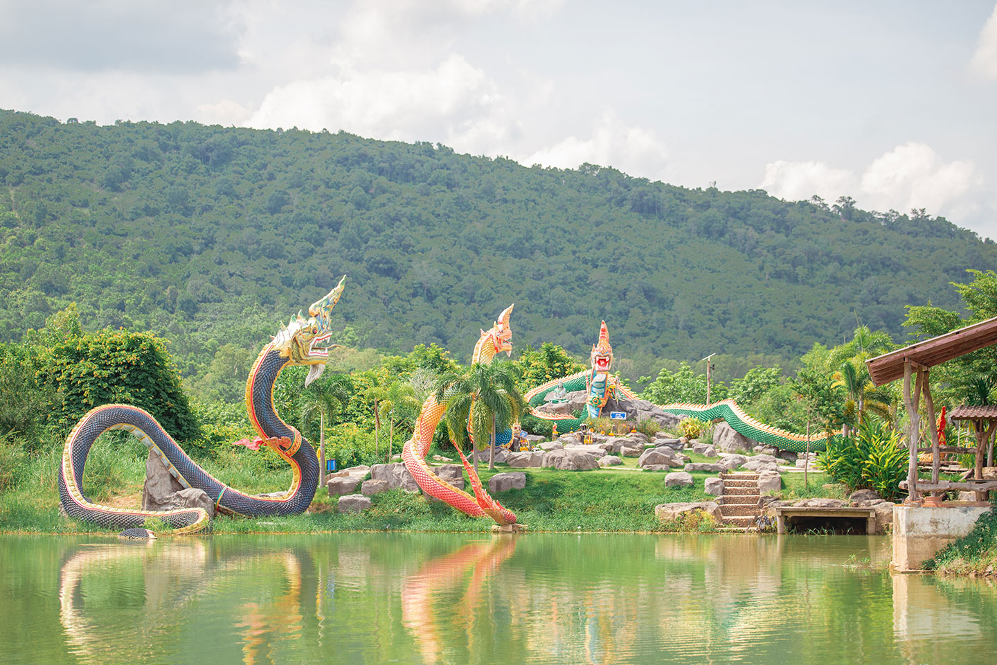 พุทธอุทยานหลวงปู่สด วังพญานาค 4 ตระกูล